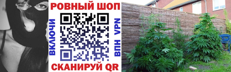 Магазины продажи наркотиков Хабаровск COCAIN  Alpha-PVP  Амфетамин  Гашиш  Бошки Шишки 
