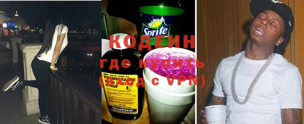 крисы Абаза