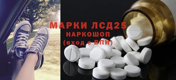 крисы Абаза