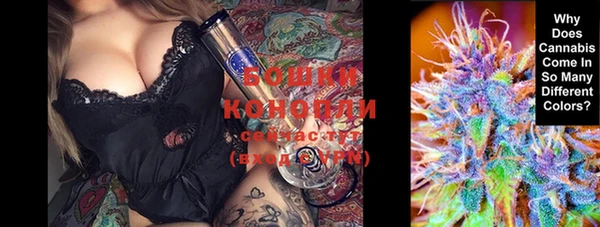 крисы Абаза