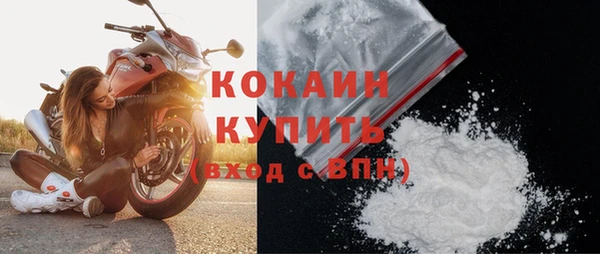 крисы Абаза