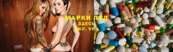 крисы Абаза