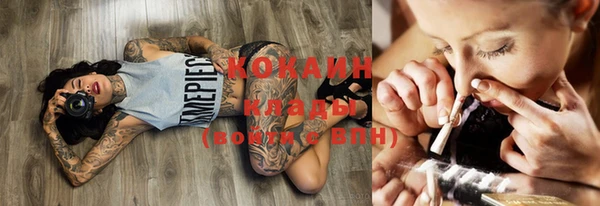 крисы Абаза