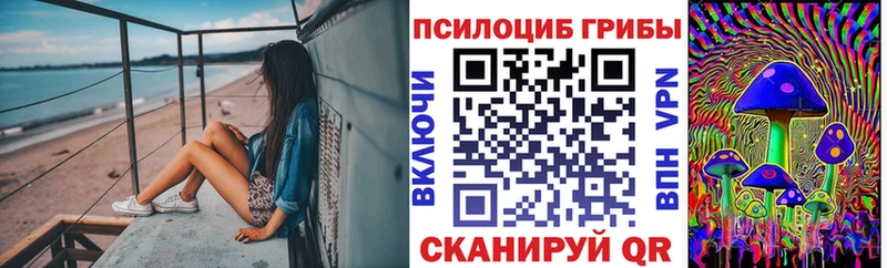 Псилоцибиновые грибы GOLDEN TEACHER  цена наркотик  Хабаровск 