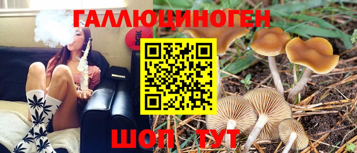 Галлюциногенные грибы Psilocybine cubensis  Вход с VPN  Хабаровск 