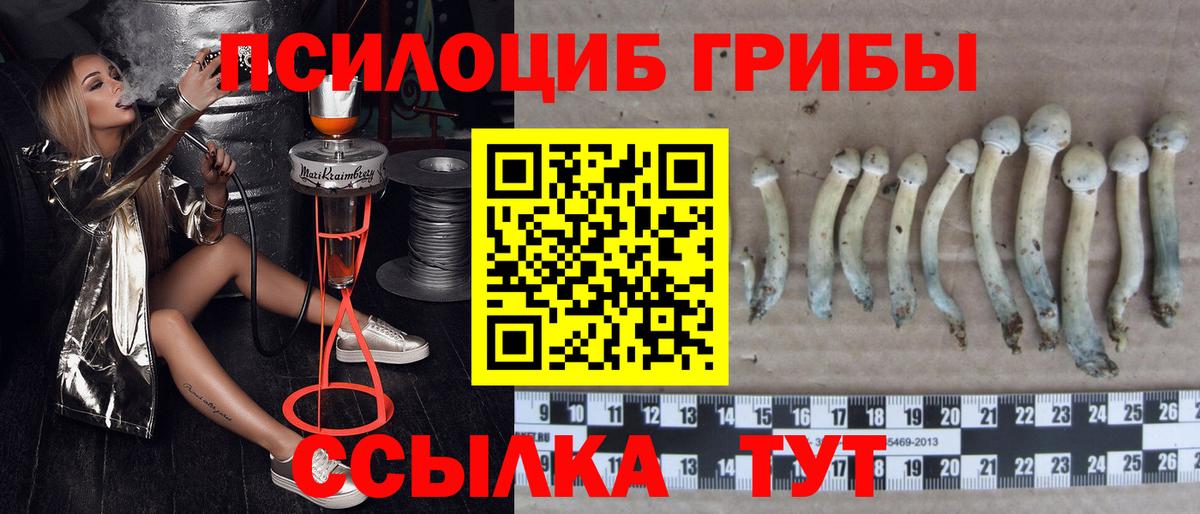 Галлюциногенные грибы ЛСД Хабаровск